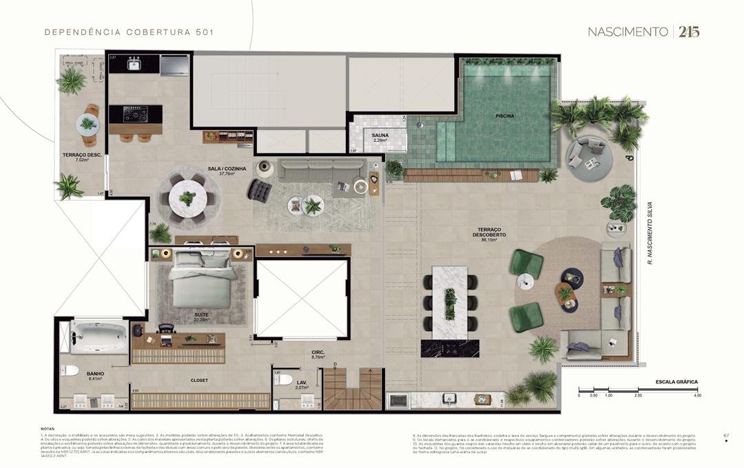 Planta (6)