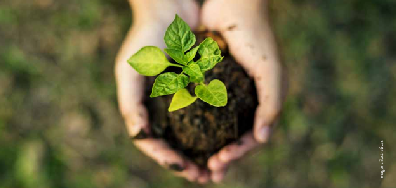 sustentabilidade 1